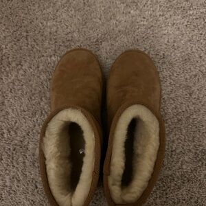 Cozy Tan Classic Mini Uggs (6)